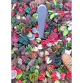 thumbnail image 2 of Shoots, Roots & Leather Boots Christmas Tree Potpourri 2 Cup Bag Pine & Balsam Fir Scent Handmade Holiday Bowl Filler Rustic Winter Home Decor, 2 of 4