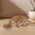 thumbnail image 3 of Elevated Slow Feeder Mat for Interactive Licking Plate Training Placemat Distraction Eating Bowl Puppy Grooming Aid, 3 of 4