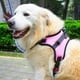 thumbnail image 3 of Pechera Arnés para Perro Reflectante Ajustable rosa Mediano Pechera para perro-54-67cmCerco torácico, 3 of 5