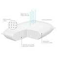 Sleep Plush + Firm Density Latex Foam Pillow, Standard / Queen