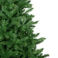 thumbnail image 3 of Northlight Winona Fir Artificial Christmas Tree - 9.5' - Unlit, 3 of 6