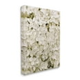 thumbnail image 3 of White Delicate Hydrangea Petals Botanical & Floral Graphic Art Gallery Wrapped Canvas Print Wall Art, 3 of 7