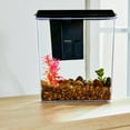 thumbnail image 4 of Aqua Culture  1 Gallon  Plastic Aquarium , Black, 10.1''L x 6.76''W x 8.12''H, 4 of 11