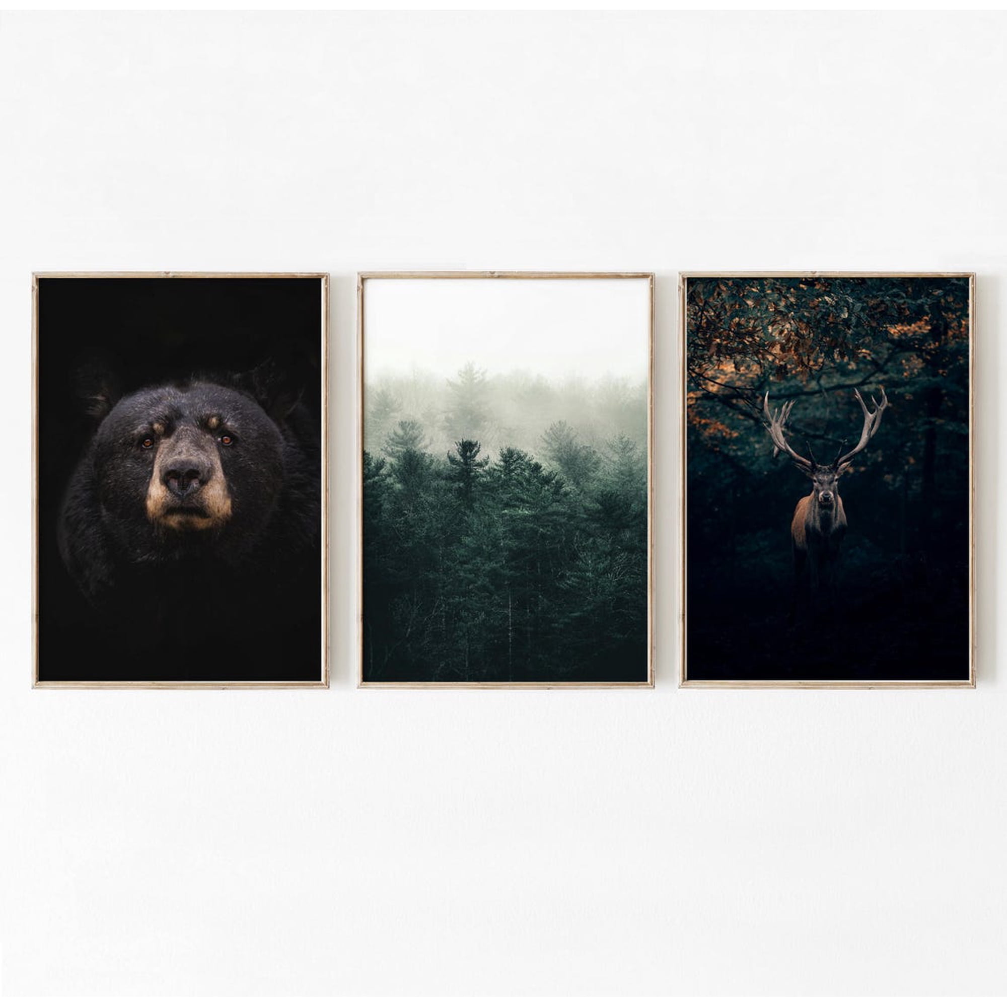 Set Of 3 Deer Wall Art Prints Wildlife Wild Animals Photography Bear Nordic Nature Inspired Living Room Decor