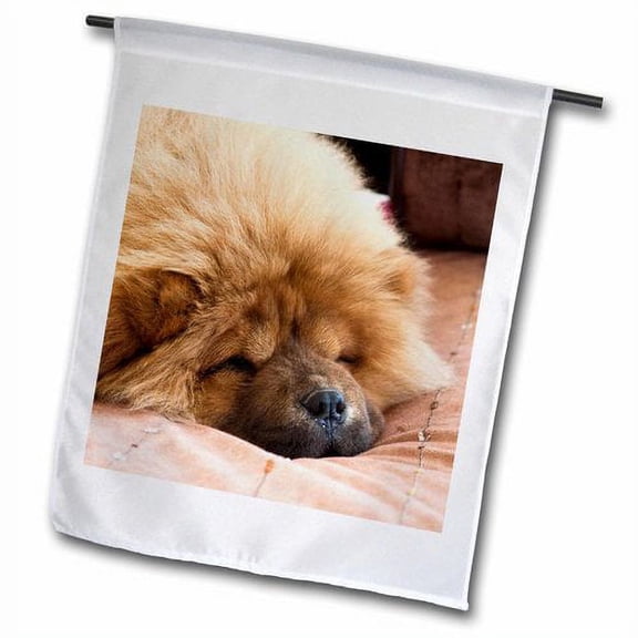 3dRose, A Chow Chow puppy dog on a tan bedspread - NA02 ZMU0107 - Zandria Muench Beraldo, 18 x 27 inch Garden Flag