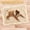 beige, variant on Lieonvis Fluffy Dog Blanket Soft Warm Cat Blanket Double Layer Reversible Pet Throw Blanket for Dogs Puppies Cats Kitten Machine Washable Pet Sleep Mat for Bed Couch Sofa Travel (Beige)