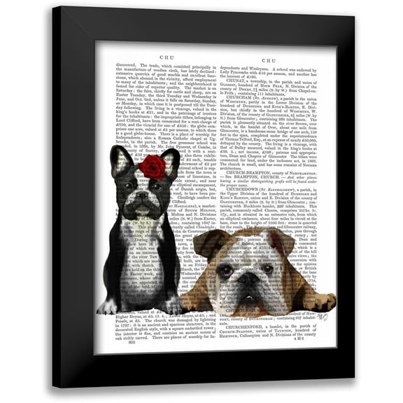 Fab Funky 12x14 Black Modern Framed Museum Art Print Titled - French Bulldog and English Bulldog