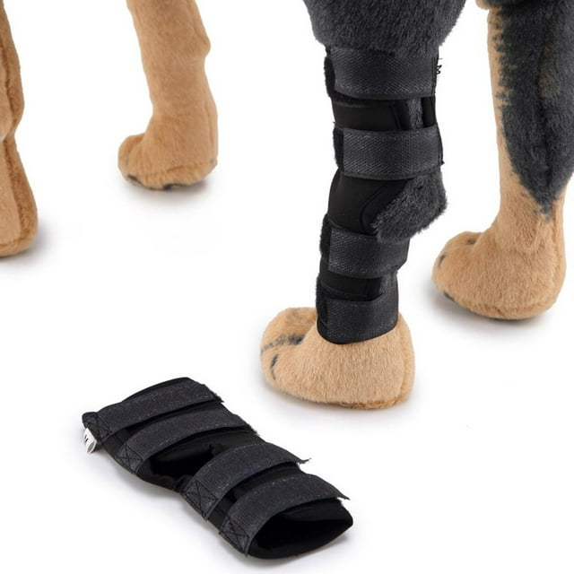Envoltura para la articulación de na trasera del animal doméstico protectora para pies de Envoltura para la articulación de Colco Rodilleras para perros