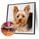thumbnail image 2 of Kit de pintura de diamante 5D Yorkshire Terrier taladro cuadrado completo DIY arte artesanía mosaico Hugtrwg Para estrenar, 2 of 9