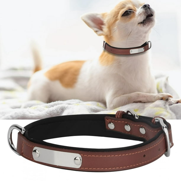 Nameplate Dog Collar Soft Leather Padded Custom Dog Collar Leather Dog