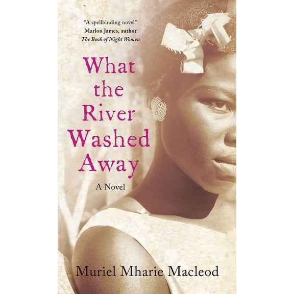 What the River Washed Away (Paperback)