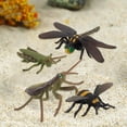 thumbnail image 1 of Simulación Modelo de Educativo Exhibición Educativa Suministros 4 Piezas Juguete de de ños de perfke Insecto simulado, 1 of 8