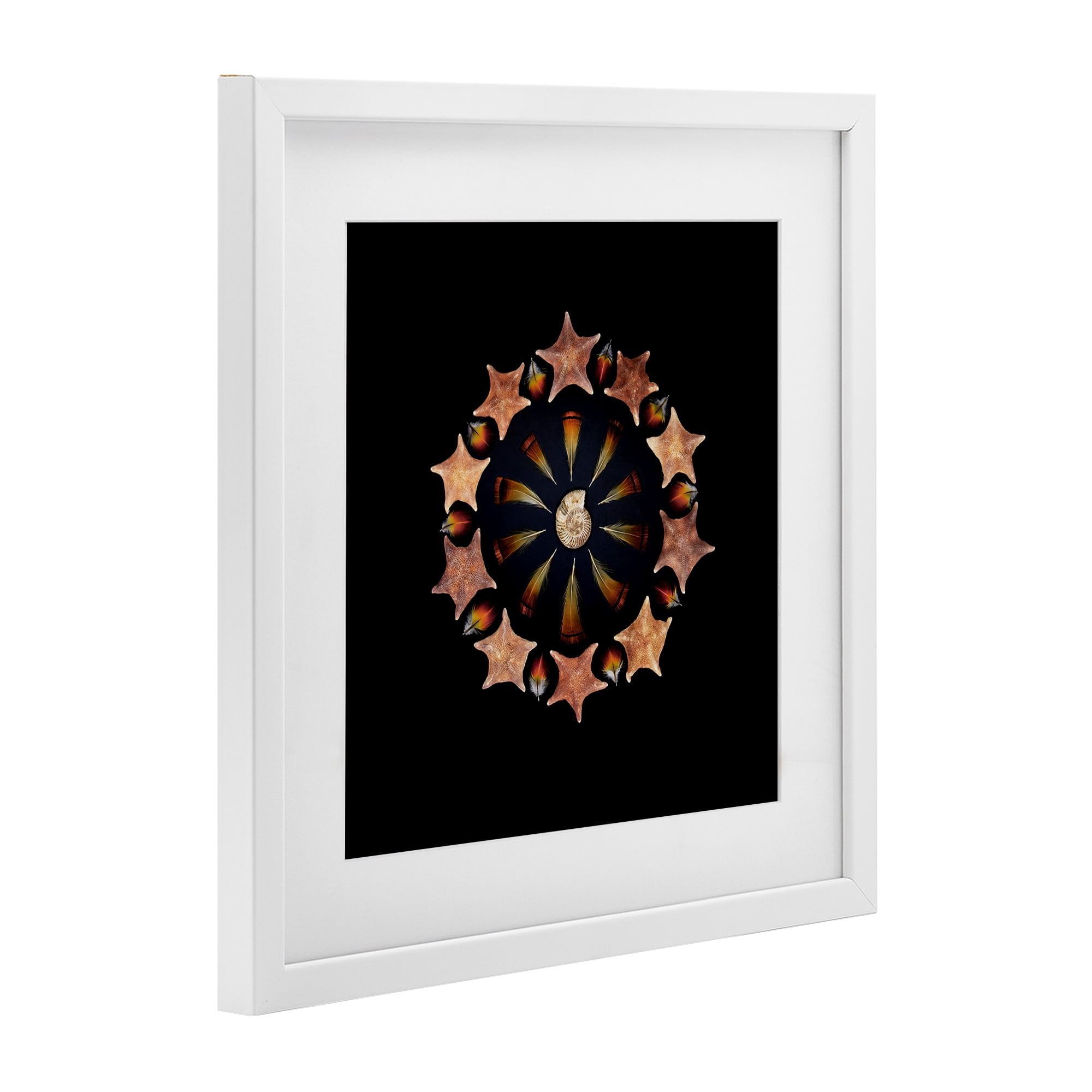 Stupell Industries Nautical Nature Arrangement White Framed Print Under Glass, design by Beth Adoette