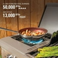 thumbnail image 6 of Coleman® Revolution™ 4-Burner Gas Grill - Flare-Free Technology, 48,000 BTU, Stainless Steel BBQ, 6 of 11