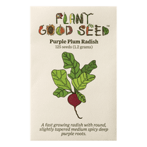 Purple Plum Radish Seeds