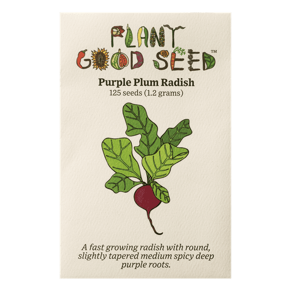 Purple Plum Radish Seeds