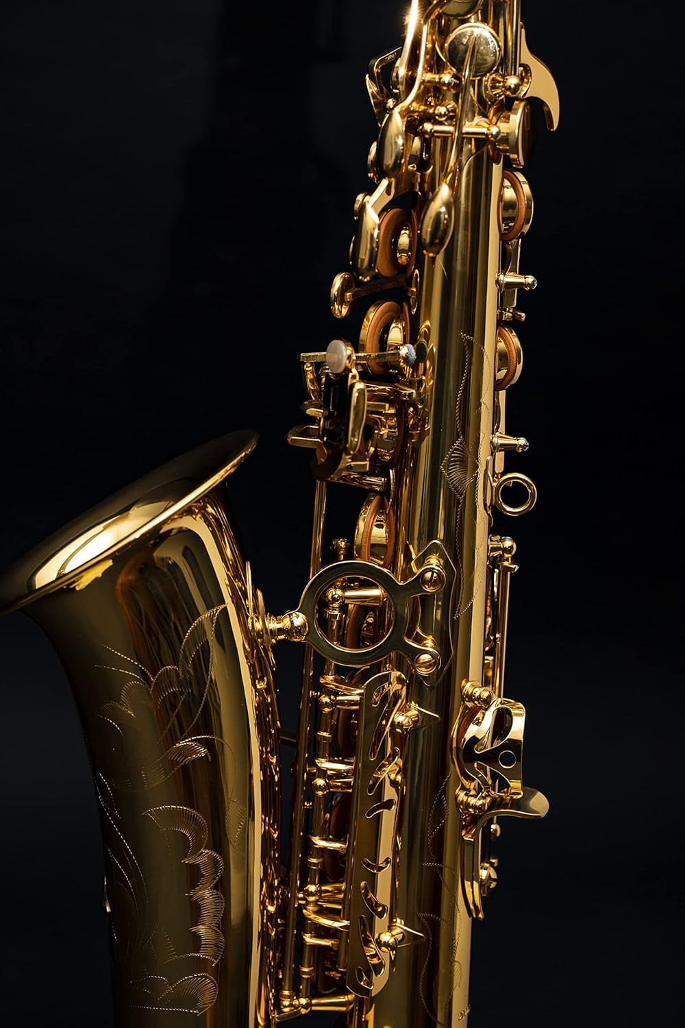 Saxophone Herche Superior Alto Saxophone X3 | High F# Key | Educator Approved & Service Plan