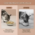 thumbnail image 3 of Ceramic Cat Food Bowl Set - Colorful Cat Feeding Bowls with Non Slip Mat - Wide Shallow Cat Bowl Whisker Friendly - Cat Plates - Cute Cat Dish - Microwave Dishwasher Safe - 6 Pack - 8.5 oz - 5.75 inch, 3 of 7