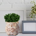 thumbnail image 4 of koolsoo Animals Planter Hand Painted Simple for Office Yard Decorations Owl, 4 of 9
