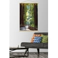 thumbnail image 2 of Lantern Press - Muir Woods National Monument, California, Pathway Wall Poster with Magnetic Frame, 22.375" x 34", 2 of 5