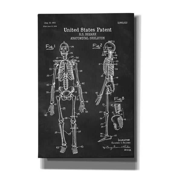 Epic Graffiti 'Anatomical Skeleton Blueprint Patent Chalkboard' Canvas Wall Art, 12"x18"