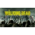 thumbnail image 3 of The Walking Dead Complete Series Seasons 1-11 (DVD), 3 of 3