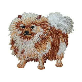 Patches hot sale pet supplies