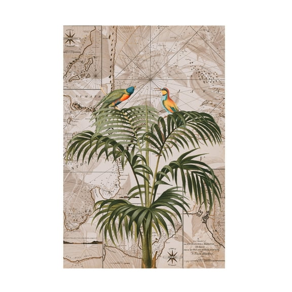 Trademark Fine Art Andrea Haase  Indonesia Jungle Paradise No3 Canvas Wall Art