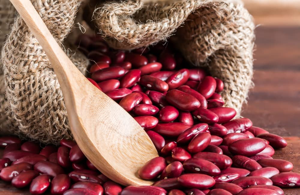 Red Kidney Bean Seeds for Planting 30 Seeds Easy to Grow, Very
