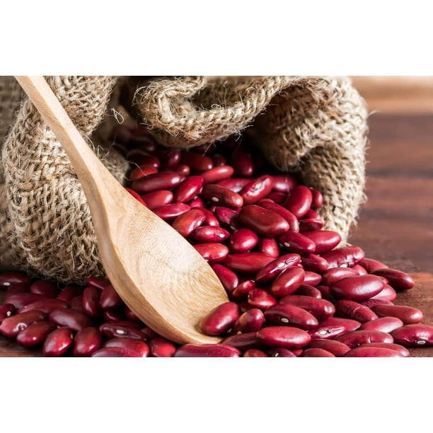 Red Kidney Bean Seeds for Planting 30 Seeds Easy to Grow, Very