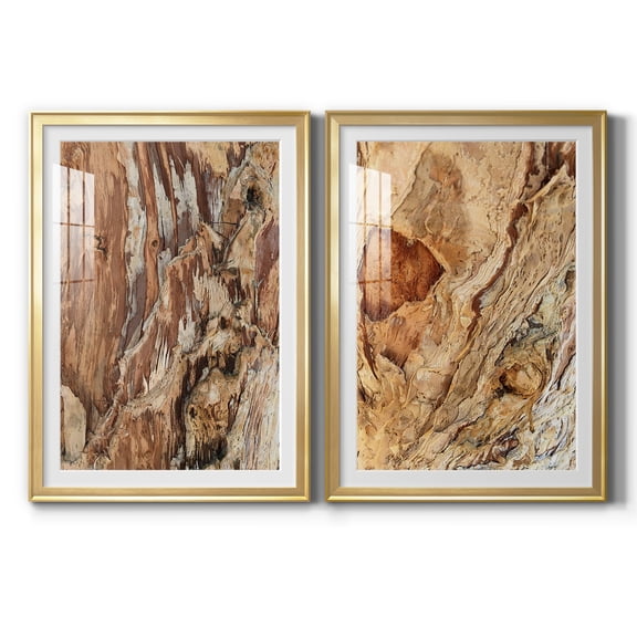 Wexford Home Tree Texture Triptych I Premium Framed Print, 30.5" x 42.5" - Ready to Hang, Gold (Set of 2)