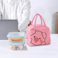 thumbnail image 6 of JoyMoreHome Portable Insulated Lunch Bag Cute Reusable Lunch Box for School Picnic Leakproof Lunch Tote Handbag, 6 of 6