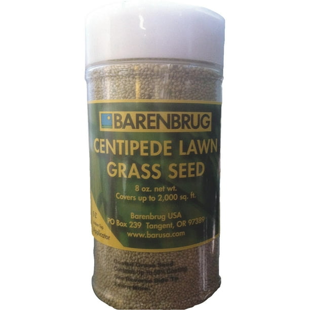 Barenbrug Centipede Grass Seed