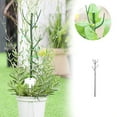 thumbnail image 2 of Support Gold Climbing Clips Clips For Climbing Indoor Support Monstera Leaf Growth Accessories For A Lover Checke Hair Clip Wide Paper Clips Paper Clips Small Bulk Mini Paper Clips Smaller Clips, 2 of 4