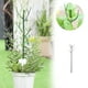 thumbnail image 2 of Abrazaderas doradas para plantas trepadoras - para Monstera, crecimiento de plantas de interior, abrazadera protectora, regalo para amantes de las plantas, 2 of 4