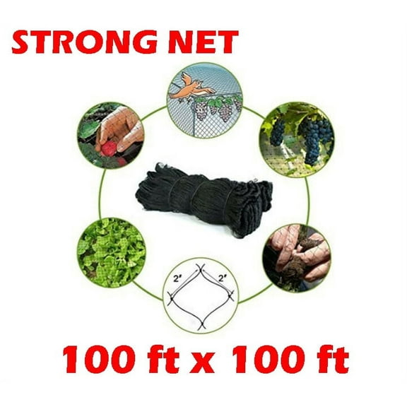 Strong 100ft x 100ft Nylon 2-Inch Mesh Anti Bird Poultry Netting for Fruit Trees Used As Bird Netting for Chicken Coop, Garden Netting, Plant Netting, Tree Protectors, Aviary Netting