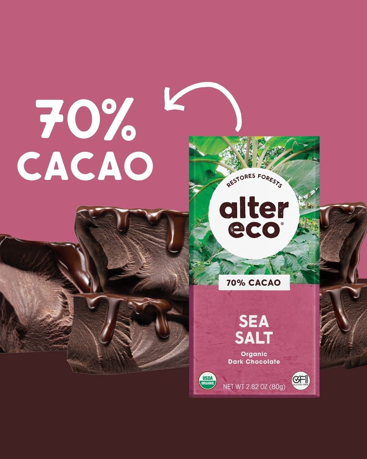 Pack of 12, Alter Eco Sea Salt Organic Dark Chocolate, 2.82 oz