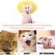 thumbnail image 5 of Pet Cat Plush Mint Interactive Bite Claws Thumb Cartoon Catnip Toy (León) Ndcxsfigh Nuevos Originales, 5 of 8