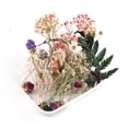 thumbnail image 3 of Dried Flowers, Natural Dried Flower Herbs Kit for Bath, Soap Making, Candle Making - 9Bag Include Dried Lavender, Rose Petals, Jasmine Flower, Gomphrena Globosa and More, 3 of 6