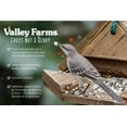 thumbnail image 6 of Valley Farms Fruit Nut & Berry Wild Bird Food, 6 of 12