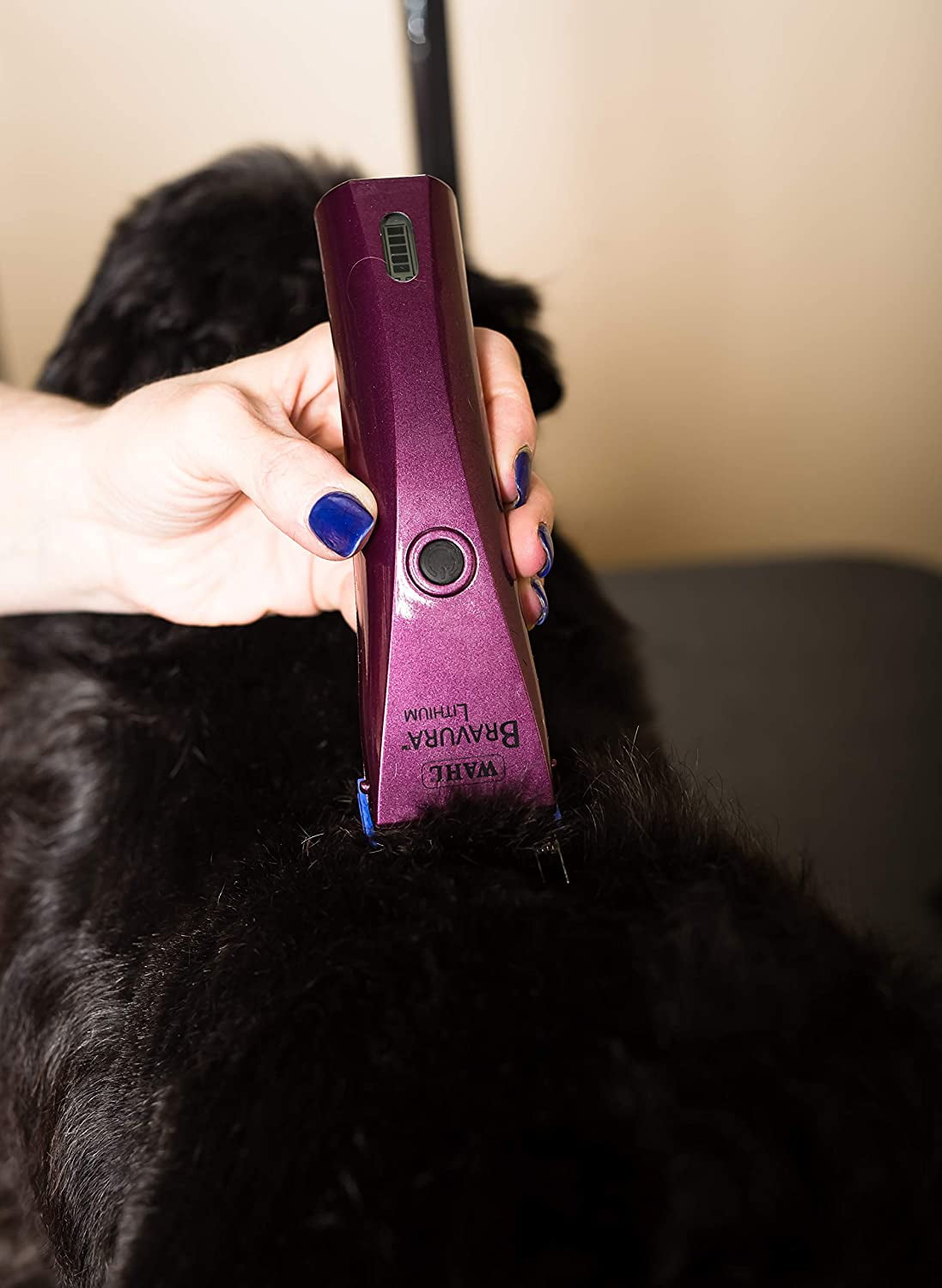 wahl professional animal bravura