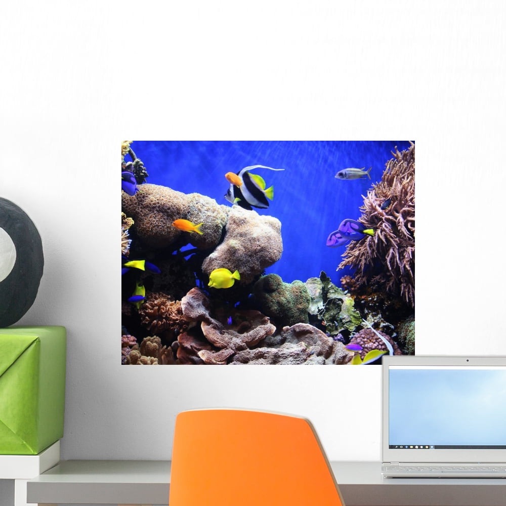 Tropical Fish Wall Mural by Wallmonkeys Peel and Stick Graphic (18 in W x 14 in H) WM42252