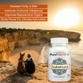 thumbnail image 4 of AyuMantra Gokshura Tribulus Tablets | Urinary & Vitality | 90 Tablets, 4 of 6