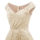 thumbnail image 4 of Vestido de fiesta sin mangas de encaje para mujer Vestido de fiesta de cóctel Vestido vintage Fridja hjkh5799, 4 of 5