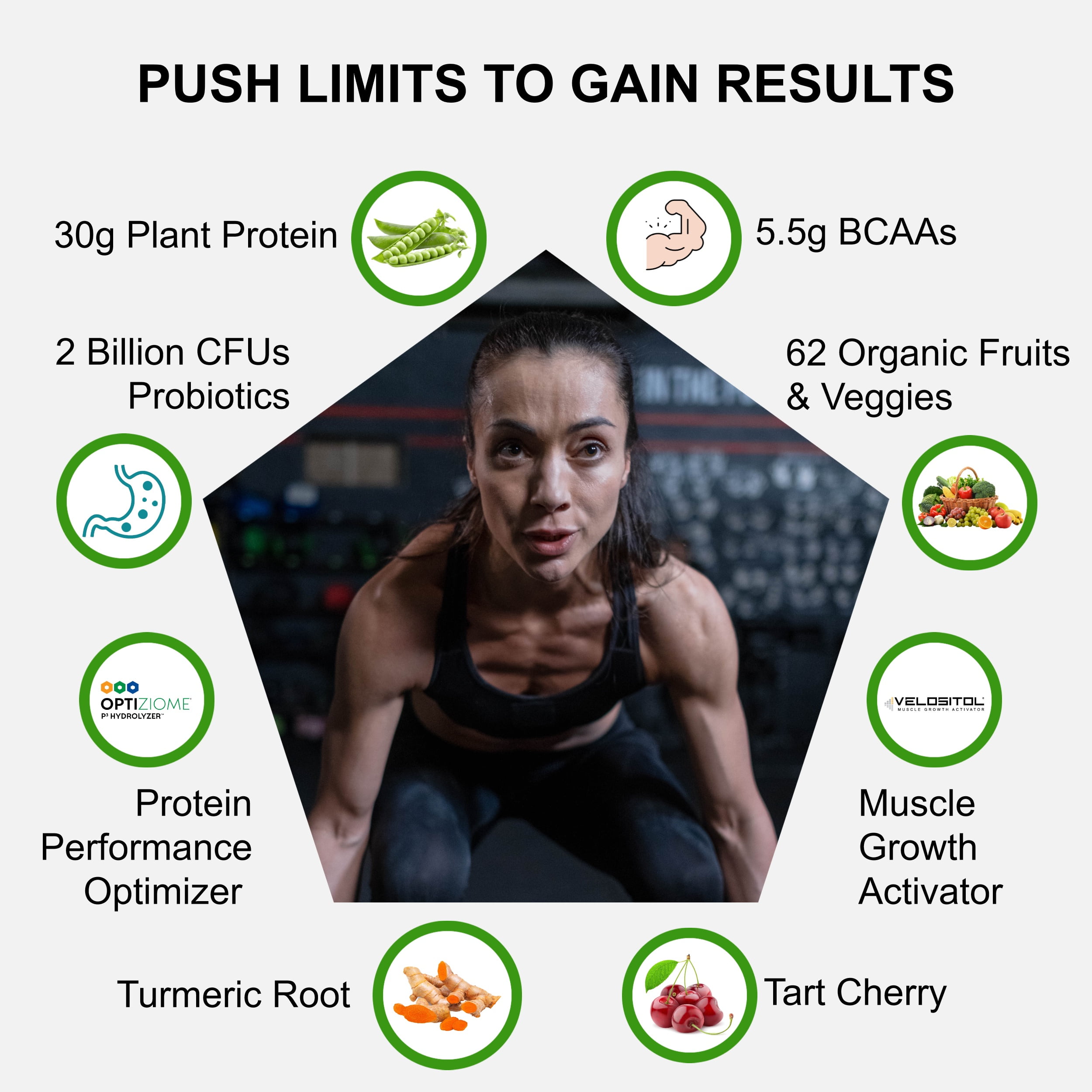 Vegan Sport Protein Powder Chocolate 20 servings – 30g Plant Based Protein, VELOSITOL, BCAAs, Organic Greens & Fruits, Probiotics, Tart Cherry for Post Workout Recovery, Inform Sports Certified Keto