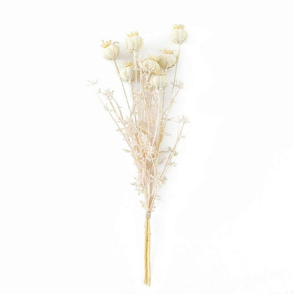 Timeless Charm, Natural Dried Flowers For Wedding Floral Arrangements, Versatile Use In Home Decor, Office, Shop, Party, Festival, Celebration