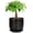 Black, variant on Ceramic Planter 7 Inch - Cylinder Round Modern Indoor Plant Pot for Plants with Drainage Hole and Saucer, Room Home Patio Office Patio Decor, Black