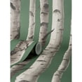 thumbnail image 7 of Fine Decor Chester Dark Green Birch Trees Wallpaper, 20.5-in by 33-ft, 7 of 7