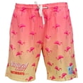 thumbnail image 1 of Naturdays Natural Light Flamingo Swimsuit-XLarge (40-42), 1 of 4