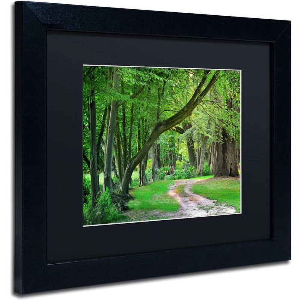 Trademark Fine Art "Intimate Landscape" Canvas Art by Philippe Sainte-Laudy, Black Matte, Black Frame